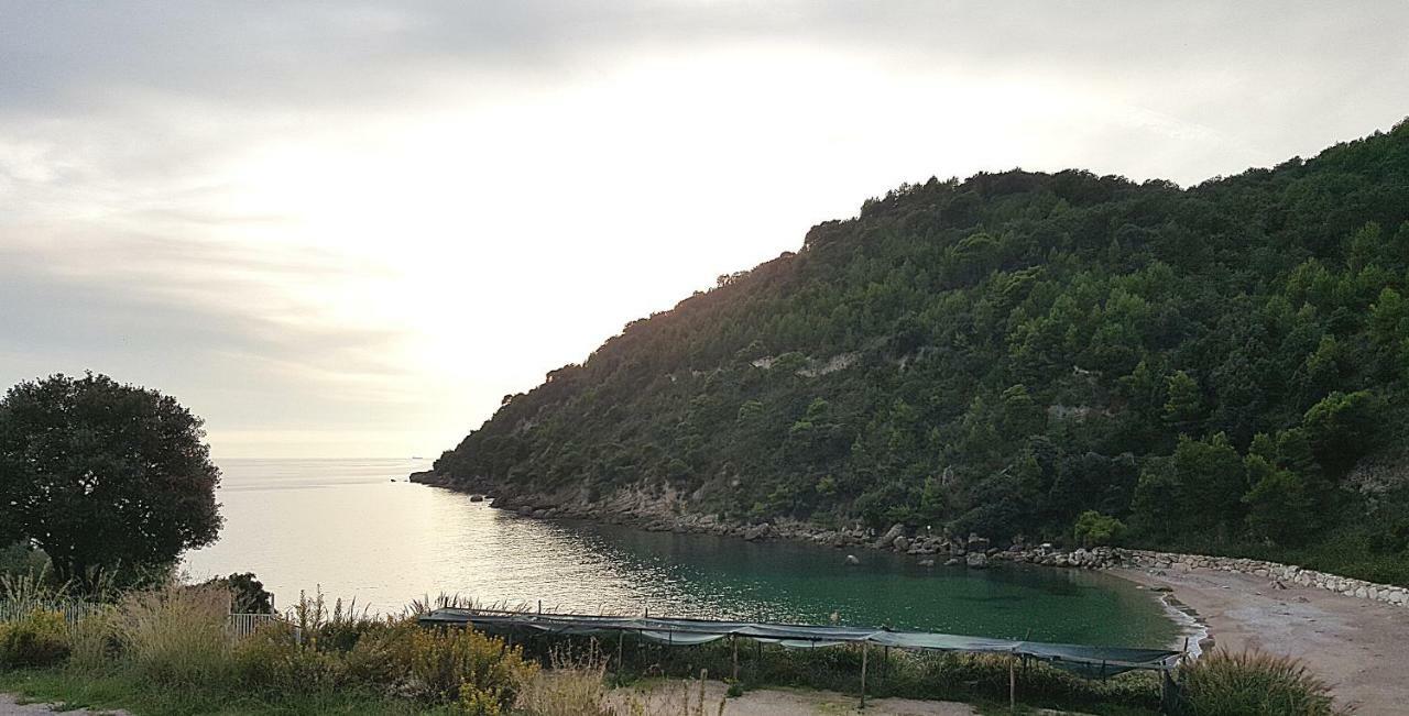 Hébergement de vacances 